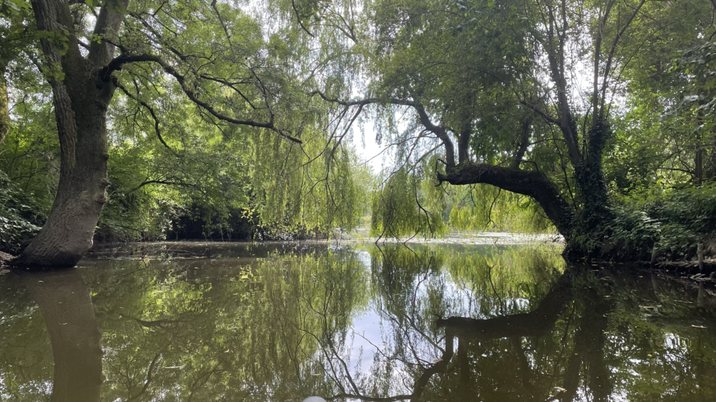 Fleuve La Vilaine coulant paisiblement entre deux arbres remarquables non loin du canoë kayak club Pont-Réan